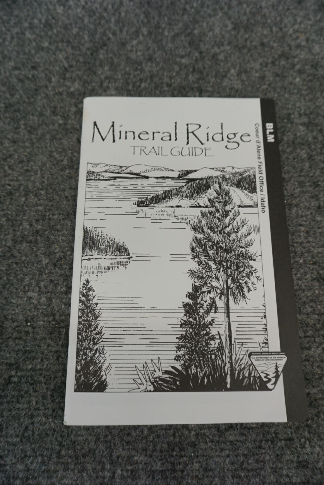 Mineral Ridge Trail Guide