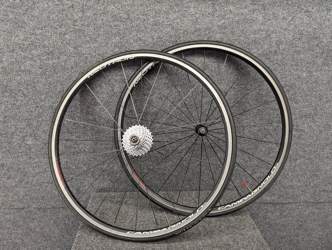 Campagnolo Wheel/Tire Size 700C Wheels