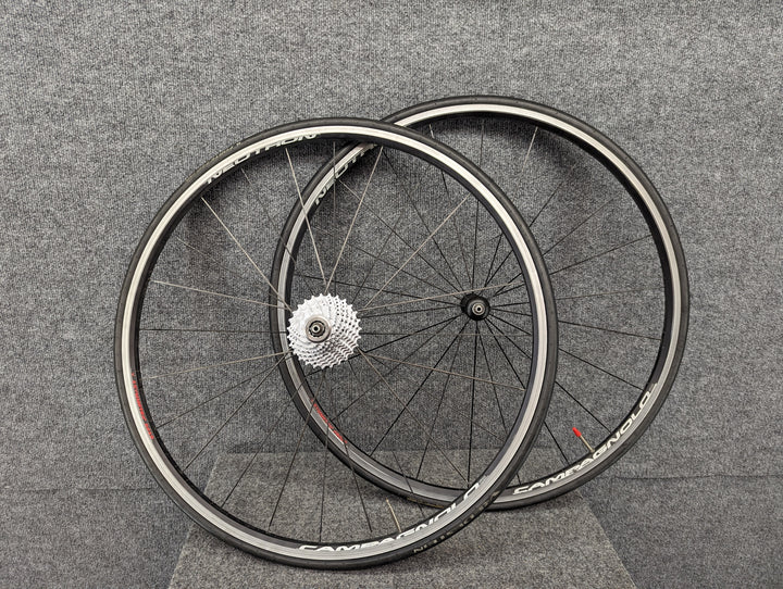 Campagnolo Wheel/Tire Size 700C Wheels